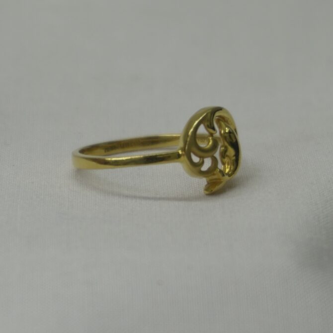 Dolphin Embrace Ring - Image 2