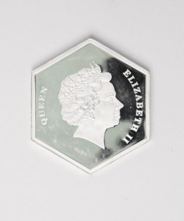 100 G Silver Coin