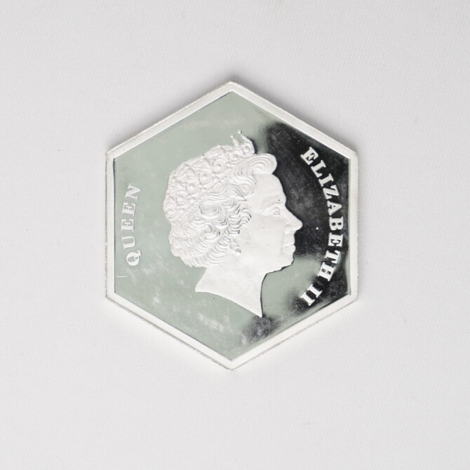 100 G Silver Coin